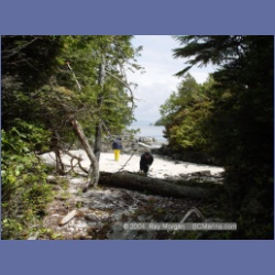 2003_2482_Cooper_Island_Barkley_Sound.html