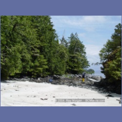 2003_2486_Cooper_Island_Barkley_Sound.html
