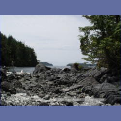 2003_2490_Cooper_Island_Barkley_Sound.html