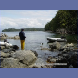 2003_2493_Cooper_Island_Barkley_Sound.html
