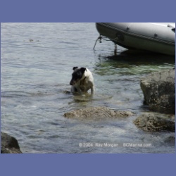 2003_2494_Edgar_Cooper_Island_Barkley_Sound.html