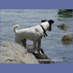 2003_2496_Jimmy_Cooper_Island_Barkley_Sound.html