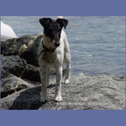 2003_2497_Jimmy_Cooper_Island_Barkley_Sound.html