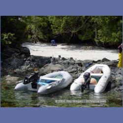 2003_2500_Cooper_Island_Barkley_Sound.html