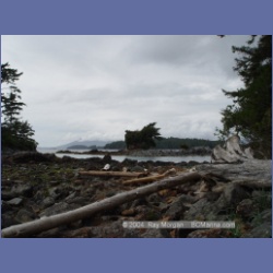 2003_2501_Cooper_Island_Barkley_Sound.html