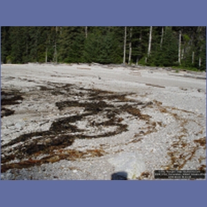 2006_2144_Coronation_Island_Alaska.JPG
