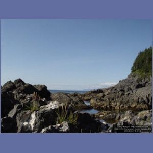 2006_2152_Coronation_Island_Alaska.JPG
