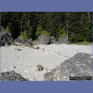 2006_2153_Coronation_Island_Alaska.JPG
