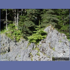2006_2155_Coronation_Island_Alaska.JPG