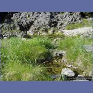 2006_2156_Coronation_Island_Alaska.JPG