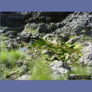 2006_2157_Coronation_Island_Alaska.JPG