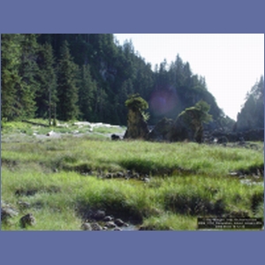 2006_2159_Coronation_Island_Alaska.JPG