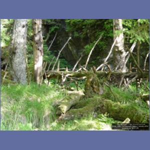 2006_2161_Coronation_Island_Alaska.JPG