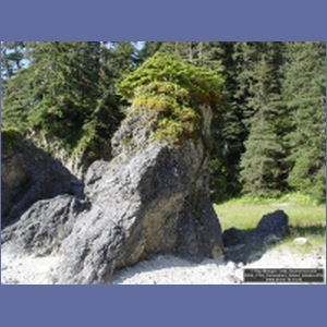 2006_2163_Coronation_Island_Alaska.JPG