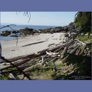 2006_2174_Coronation_Island_Alaska.JPG