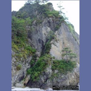 2006_2179_Coronation_Island_Alaska.JPG