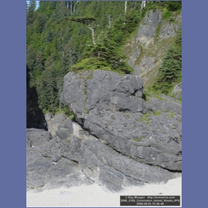 2006_2185_Coronation_Island_Alaska.JPG