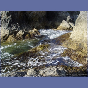 2006_2199_Coronation_Island_Alaska.JPG