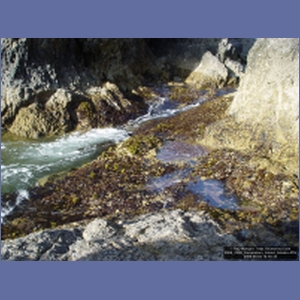 2006_2200_Coronation_Island_Alaska.JPG
