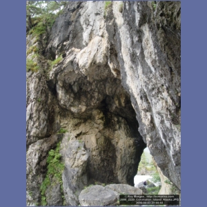 2006_2229_Coronation_Island_Alaska.JPG