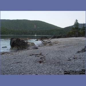 2006_2231_Coronation_Island_Alaska.JPG