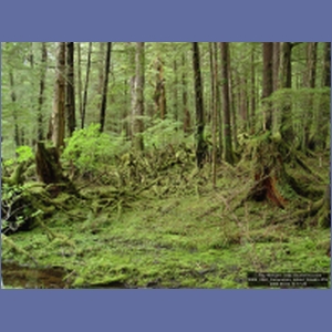 2006_2240_Coronation_Island_Alaska.JPG