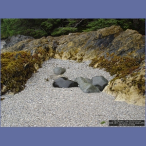 2006_2251_Coronation_Island_Alaska.JPG