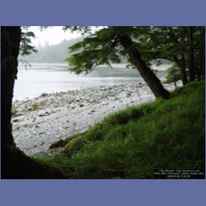 2006_2252_Coronation_Island_Alaska.JPG