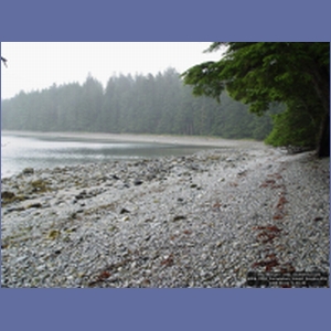 2006_2253_Coronation_Island_Alaska.JPG