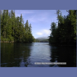 1999_493_Cougar_Inlet.html