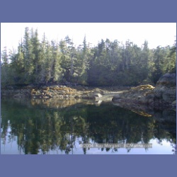 2002_750_Chicken_Cove_Kitasoo_Bay.html