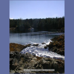 2002_754_Chicken_Cove_Kitasoo_Bay.html