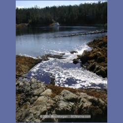 2002_756_Chicken_Cove_Kitasoo_Bay.html
