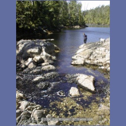 2002_757_Chicken_Cove_Kitasoo_Bay.html