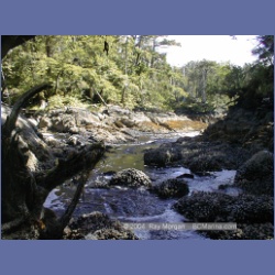 2002_758_Chicken_Cove_Kitasoo_Bay.html