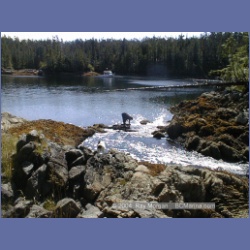 2002_763_Chicken_Cove_Kitasoo_Bay.html