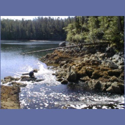 2002_764_Chicken_Cove_Kitasoo_Bay.html