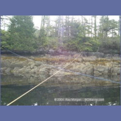 2003_4453_Cowards_Cove_Kitasoo_Bay.html