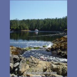 2004_7419_Cowards_Cove_Kitasoo_Bay.html