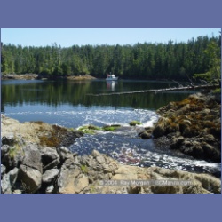 2004_7420_Cowards_Cove_Kitasoo_Bay.html