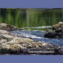 2004_7425_Cowards_Cove_Kitasoo_Bay.html