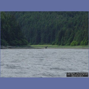 2006_1504_Cross_Sound_AK.JPG