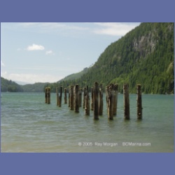 2005_0568_Cutter_Cove_Log_Spill.html