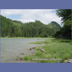 2005_0570_Cutter_Cove_Log_Spill.html