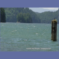 2005_0577_Cutter_Cove_Log_Spill.html