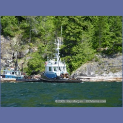 2005_0578_Cutter_Cove_Log_Spill.html