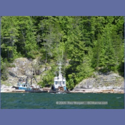 2005_0579_Cutter_Cove_Log_Spill.html