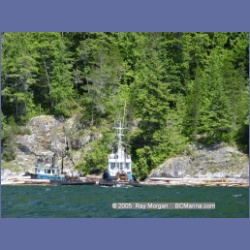 2005_0580_Cutter_Cove_Log_Spill.html