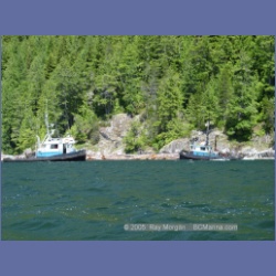 2005_0581_Cutter_Cove_Log_Spill.html