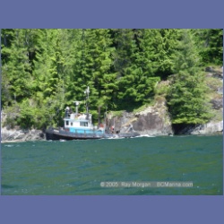 2005_0582_Cutter_Cove_Log_Spill.html